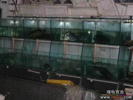 �ܵܿ��Ϲ�����ȫ��һ��ȥ�ƣ�