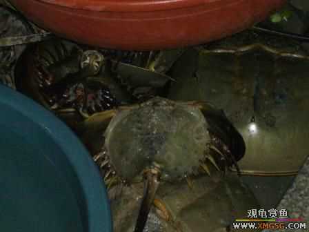 �ܵܿ��Ϲ�����ȫ��һ��ȥ�ƣ�