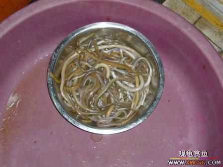 �ܵܿ��Ϲ�����ȫ��һ��ȥ�ƣ�