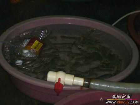 �ܵܿ��Ϲ�����ȫ��һ��ȥ�ƣ�