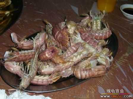 �ܵܿ��Ϲ�����ȫ��һ��ȥ�ƣ�