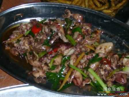 �ܵܿ��Ϲ�����ȫ��һ��ȥ�ƣ�