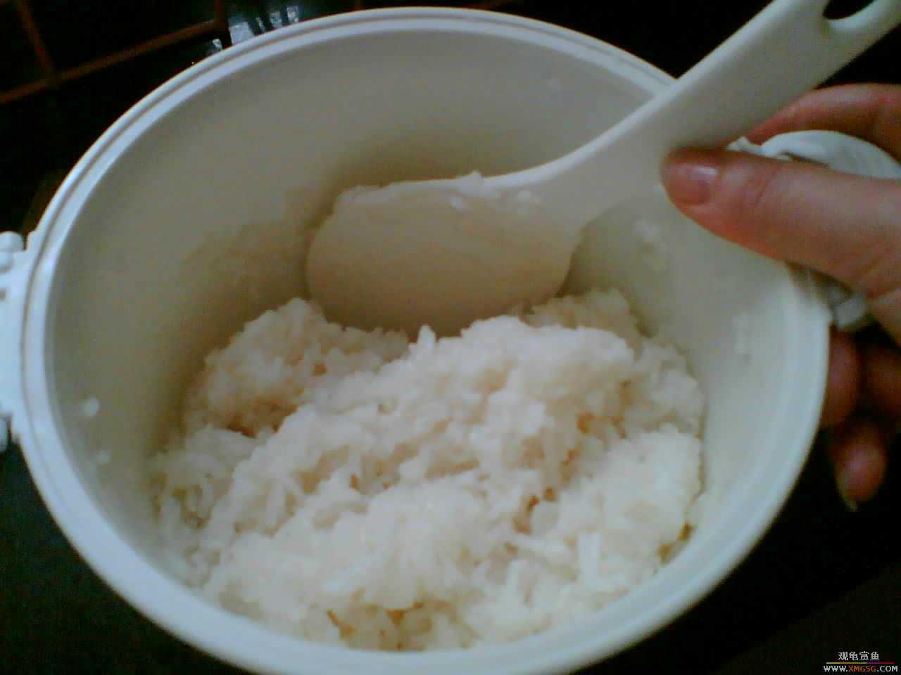 [ԭ��]DIY�й���˾