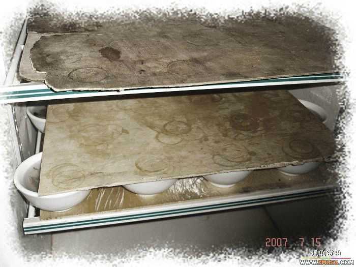 [�Ƽ�]2007��7��15��FB�ۼ���