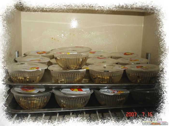 [�Ƽ�]2007��7��15��FB�ۼ���