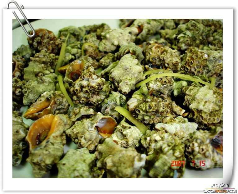 [�Ƽ�]2007��7��15��FB�ۼ���