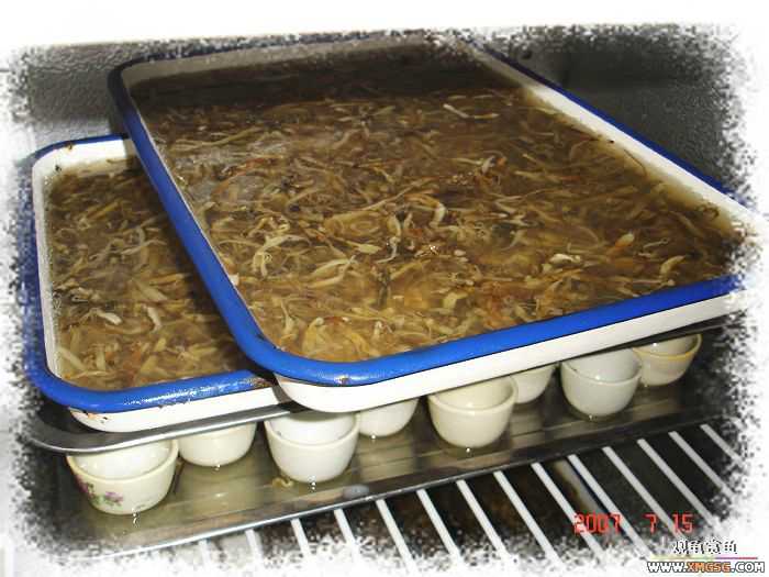 [�Ƽ�]2007��7��15��FB�ۼ���