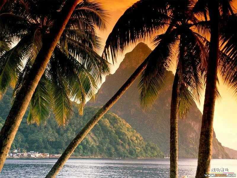 �����ķ羰������2