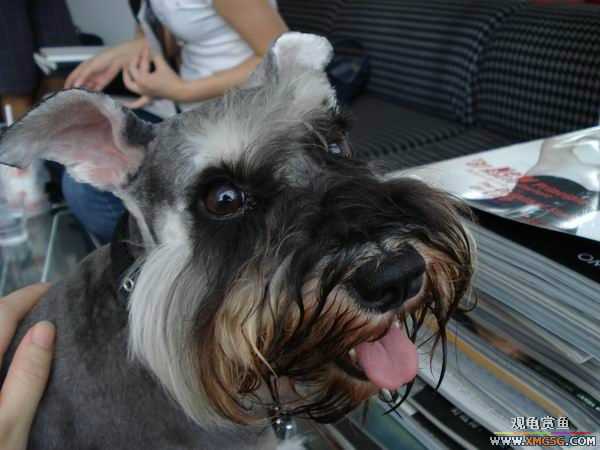 [ԭ��]������һ�ε�����ķ,���й�����Ư����Ƭ�