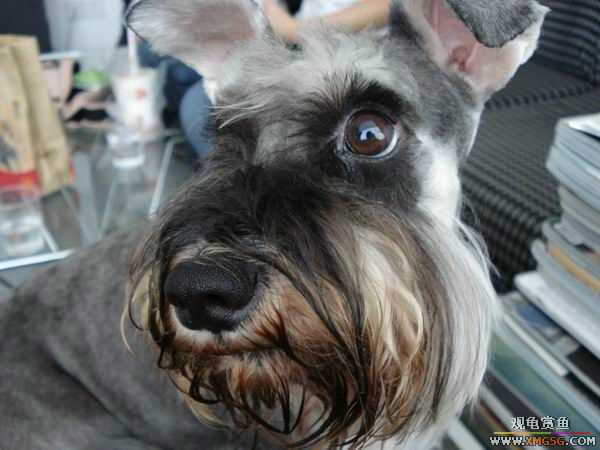 [ԭ��]������һ�ε�����ķ,���й�����Ư����Ƭ�