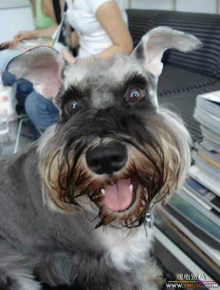 [ԭ��]������һ�ε�����ķ,���й�����Ư����Ƭ�