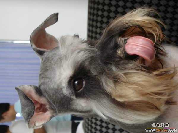 [ԭ��]������һ�ε�����ķ,���й�����Ư����Ƭ�