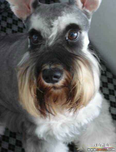 [ԭ��]������һ�ε�����ķ,���й�����Ư����Ƭ�