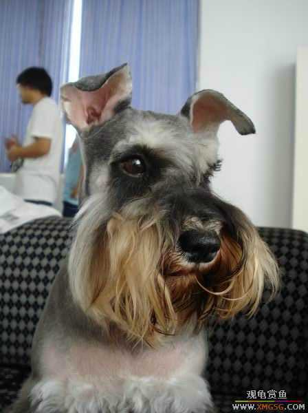 [ԭ��]������һ�ε�����ķ,���й�����Ư����Ƭ�