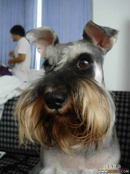 [ԭ��]������һ�ε�����ķ,���й�����Ư����Ƭ�