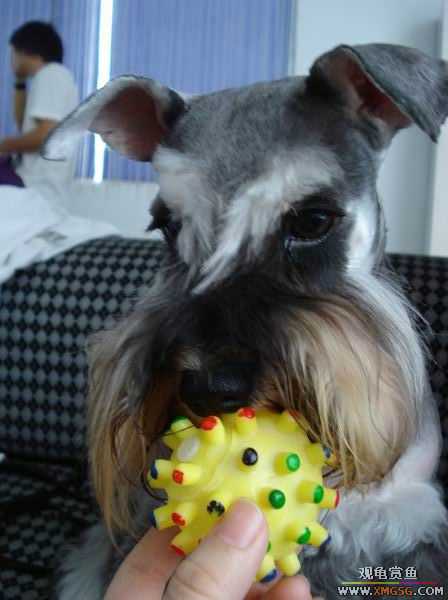 [ԭ��]������һ�ε�����ķ,���й�����Ư����Ƭ�