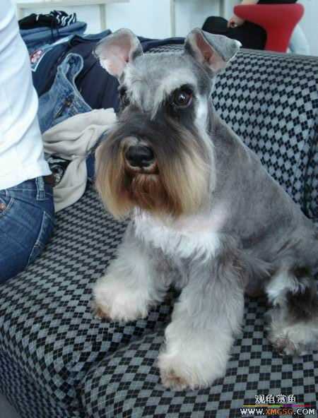 [ԭ��]������һ�ε�����ķ,���й�����Ư����Ƭ�