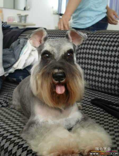 [ԭ��]������һ�ε�����ķ,���й�����Ư����Ƭ�