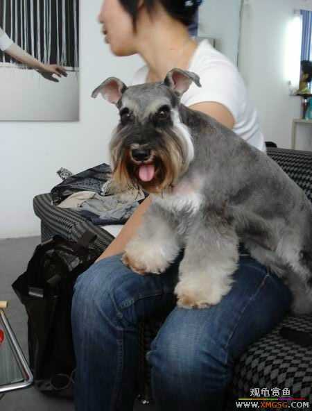 [ԭ��]������һ�ε�����ķ,���й�����Ư����Ƭ�