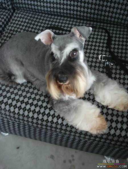 [ԭ��]������һ�ε�����ķ,���й�����Ư����Ƭ�