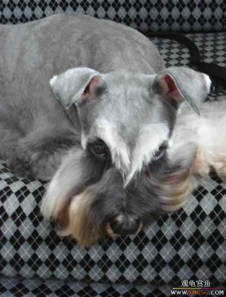 [ԭ��]������һ�ε�����ķ,���й�����Ư����Ƭ�