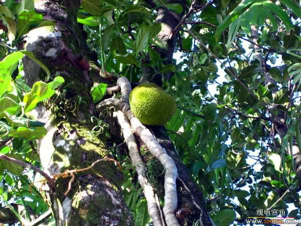 [ԭ��]����������