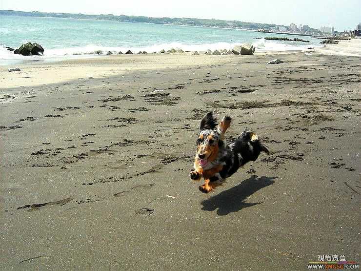 [��ͼ]�������˶�