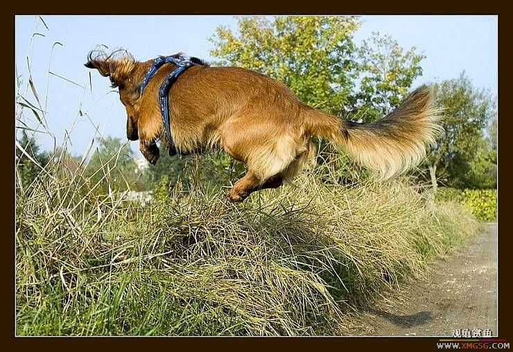 [��ͼ]�������˶�