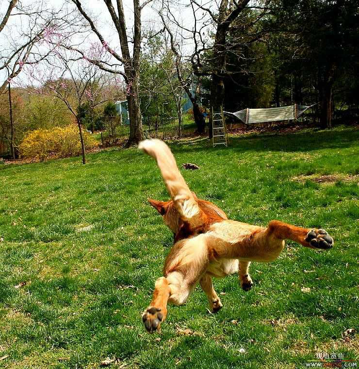 [��ͼ]�������˶�