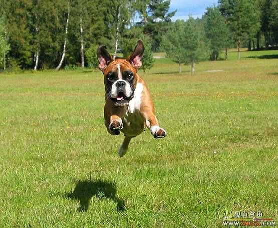 [��ͼ]�������˶�