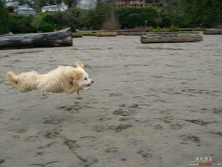 [��ͼ]�������˶�