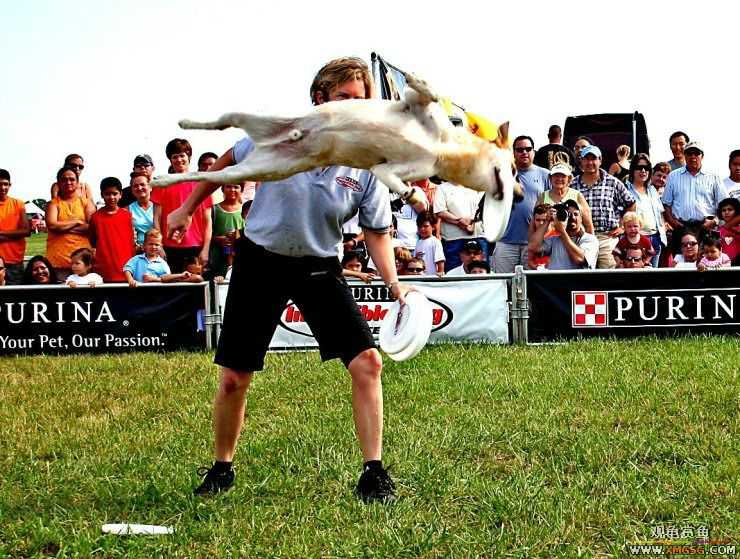 [��ͼ]�������˶�