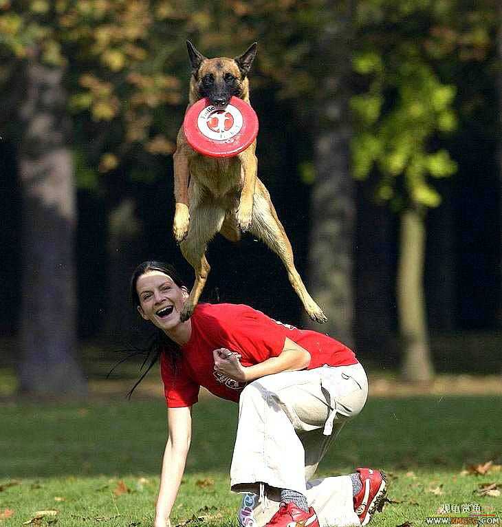 [��ͼ]�������˶�