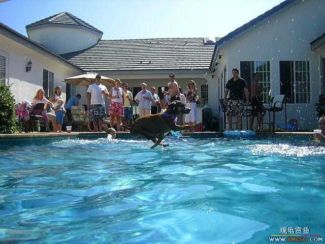 [��ͼ]�������˶�