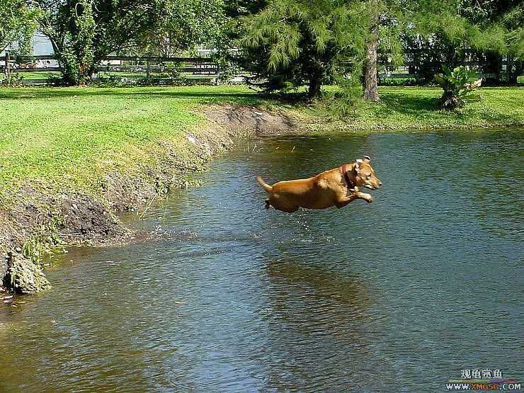 [��ͼ]�������˶�