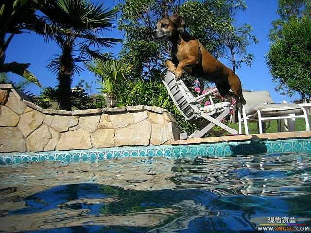 [��ͼ]�������˶�