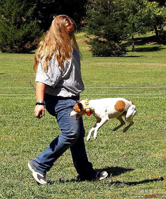 [��ͼ]�������˶�