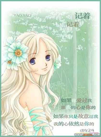 �ǵ��������������