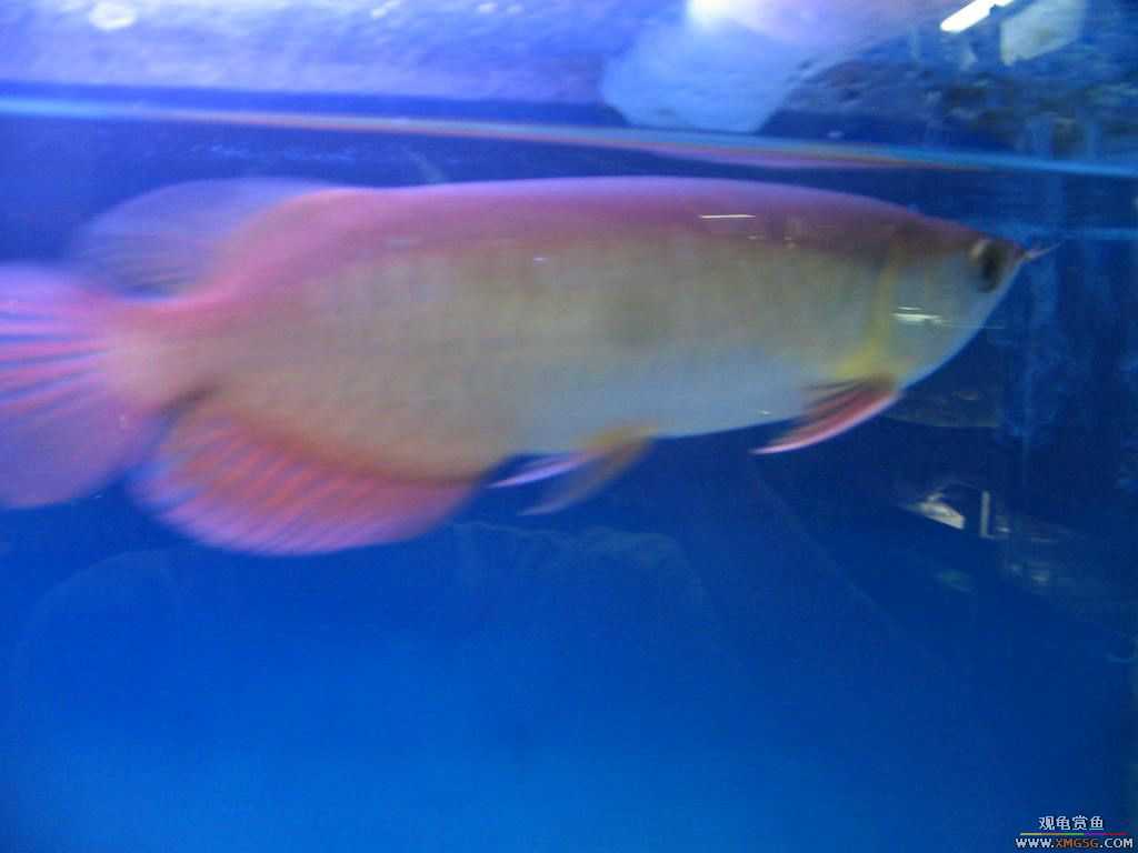 [�̼�]������֮�� ����·