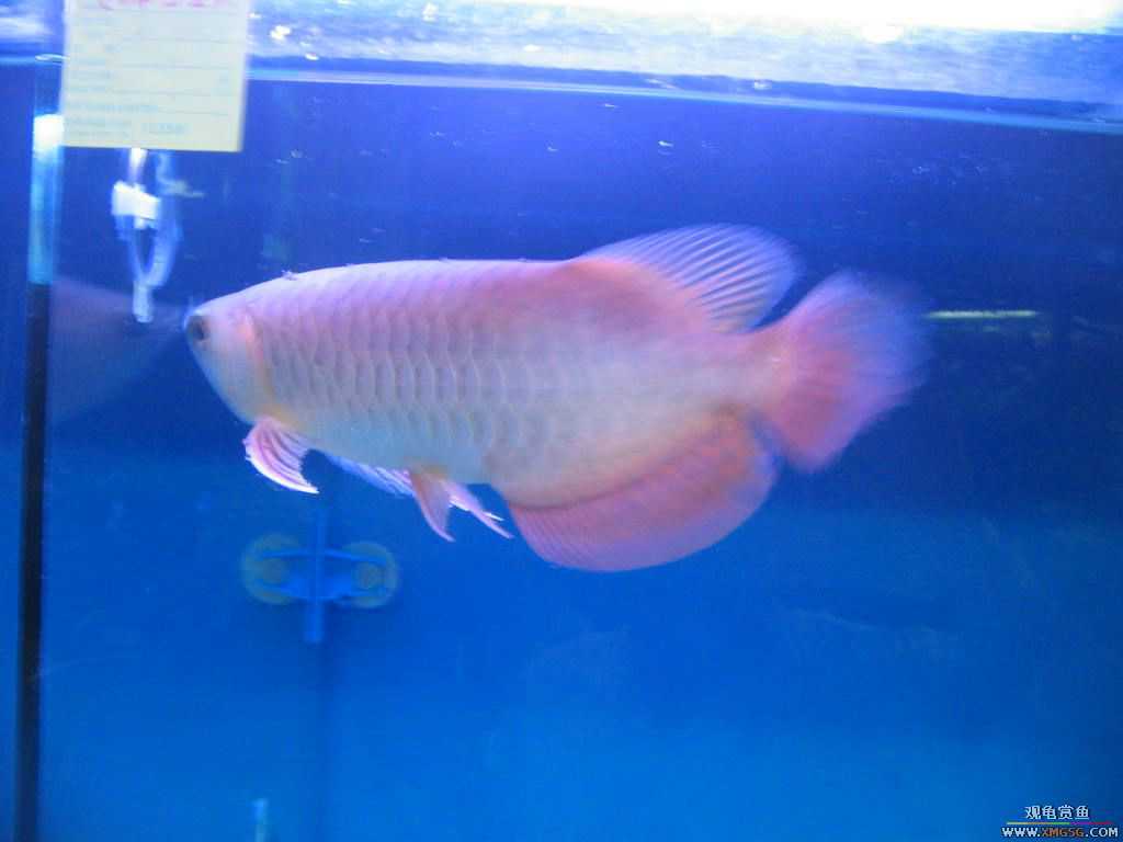 [�̼�]������֮�� ����·