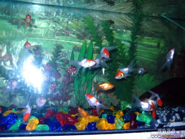 [ԭ��]�Ჴ���������