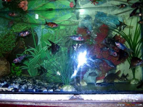 [ԭ��]�Ჴ���������