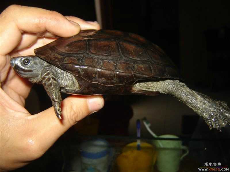 [����]5.2������ī�꣬���ǳ�����ҩ��