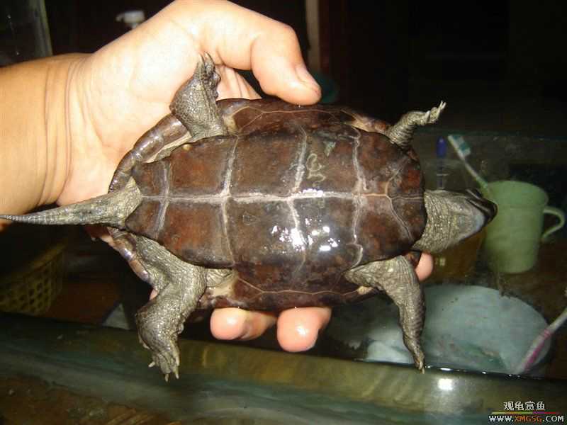 [����]5.2������ī�꣬���ǳ�����ҩ��