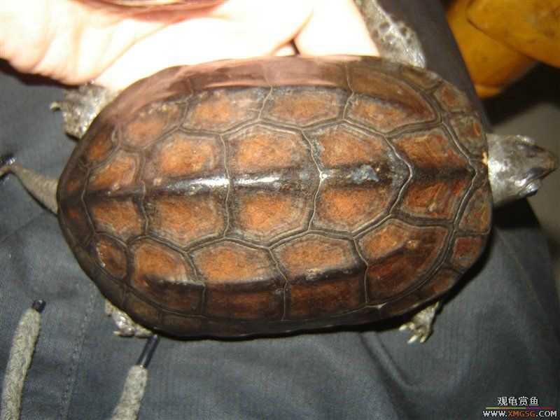 [����]5.2������ī�꣬���ǳ�����ҩ��