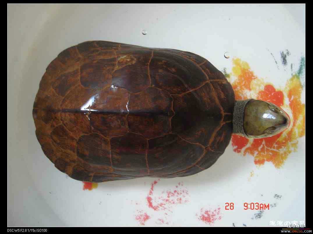 [��]070102 ���ˮ��Ұ��С����