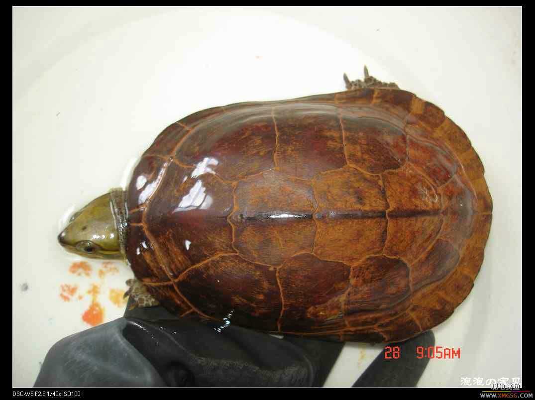 [��]070102 ���ˮ��Ұ��С����