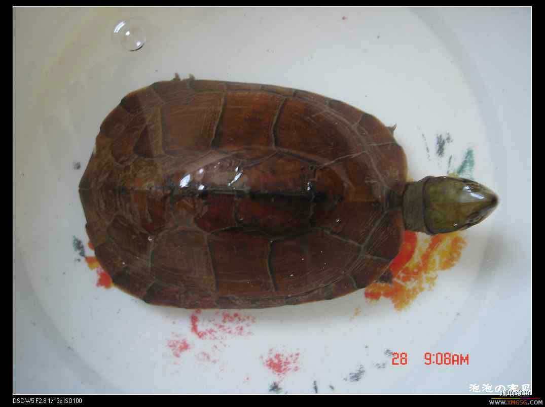 [��]070103 ��Ǵ���Ұ��С����