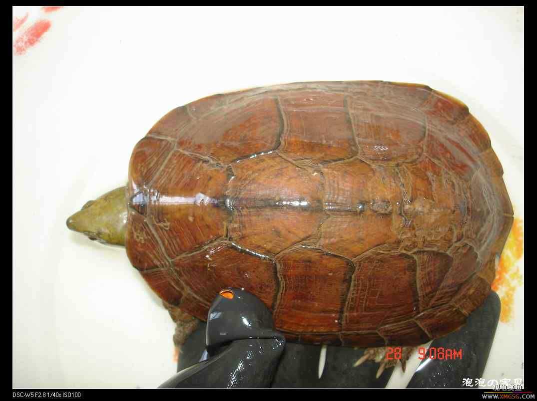 [��]070103 ��Ǵ���Ұ��С����