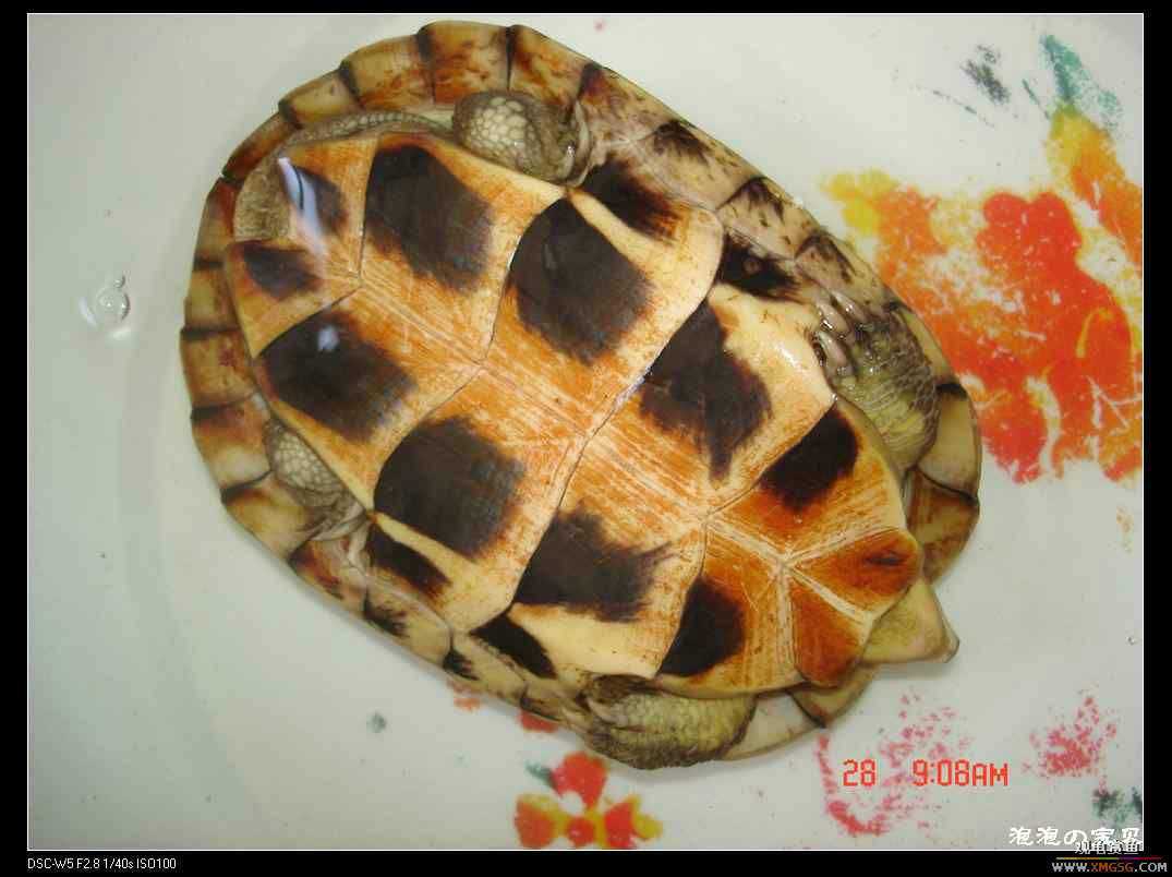 [��]070103 ��Ǵ���Ұ��С����